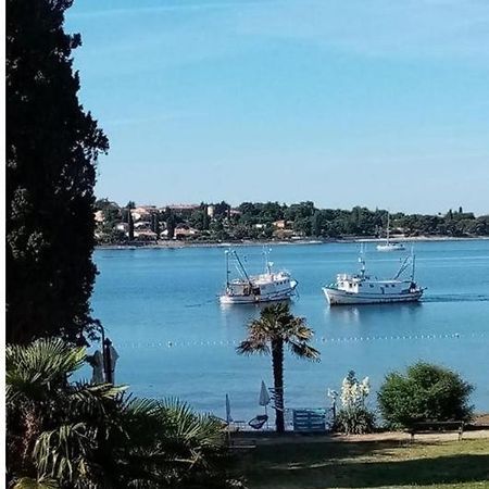 Apartment Villa Angelina, 70M From The Beach, Free Parking Novigrad  Luaran gambar