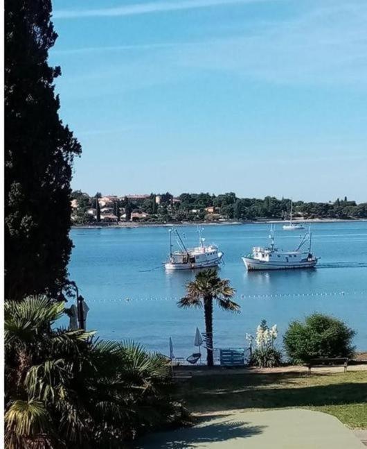 Apartment Villa Angelina, 70M From The Beach, Free Parking Novigrad  Luaran gambar