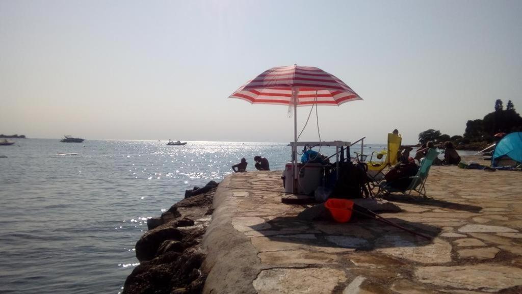 Apartment Villa Angelina, 70M From The Beach, Free Parking Novigrad  Luaran gambar