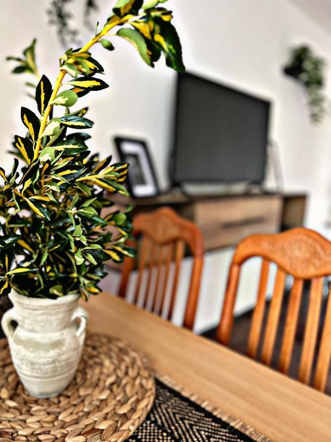 Apartment Villa Angelina, 70M From The Beach, Free Parking Novigrad  Luaran gambar