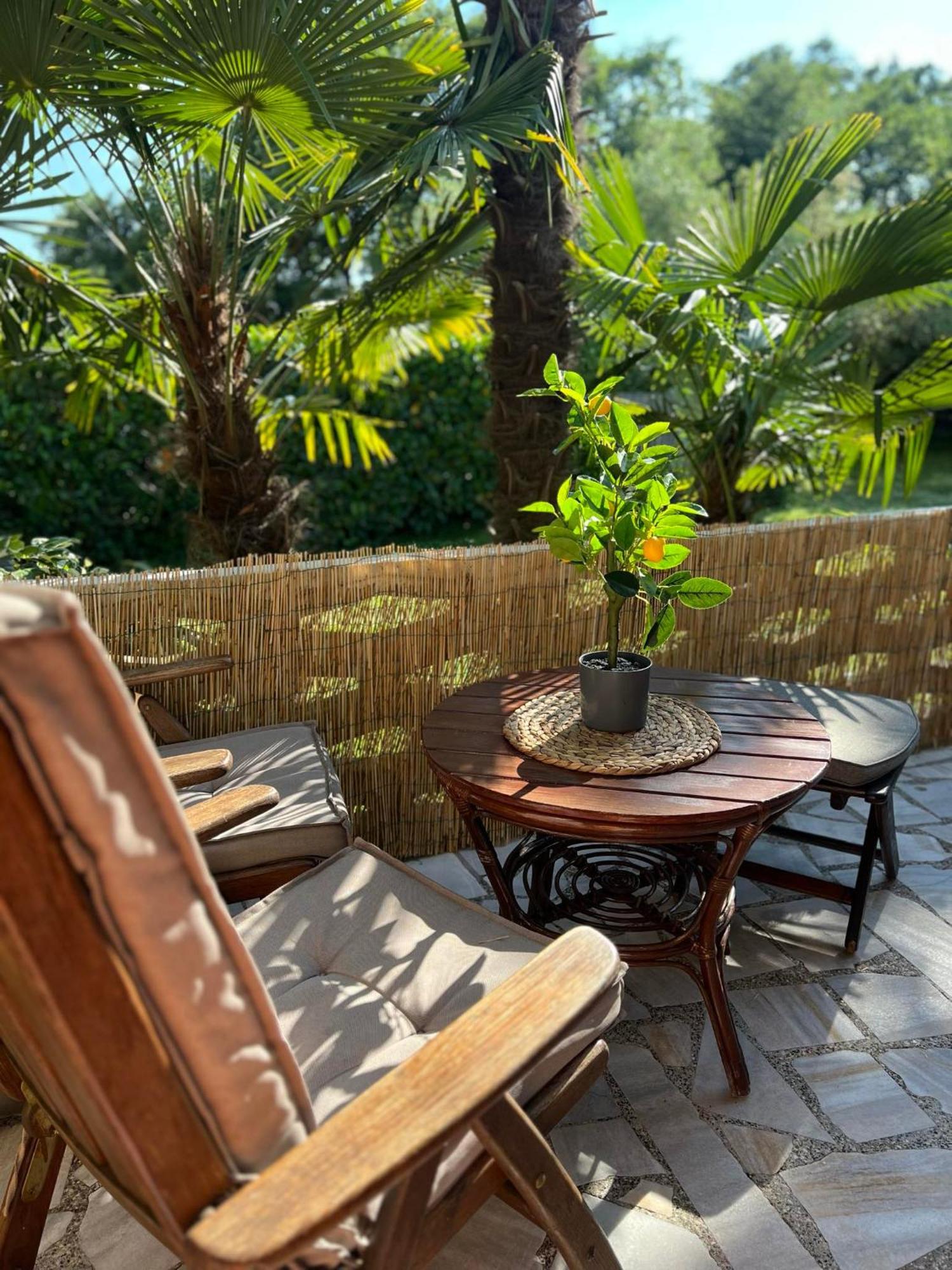 Apartment Villa Angelina, 70M From The Beach, Free Parking Novigrad  Luaran gambar